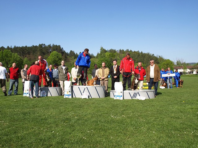 www.atibox.net * www.euroboxer.eu * www.boxergenealogia.eu